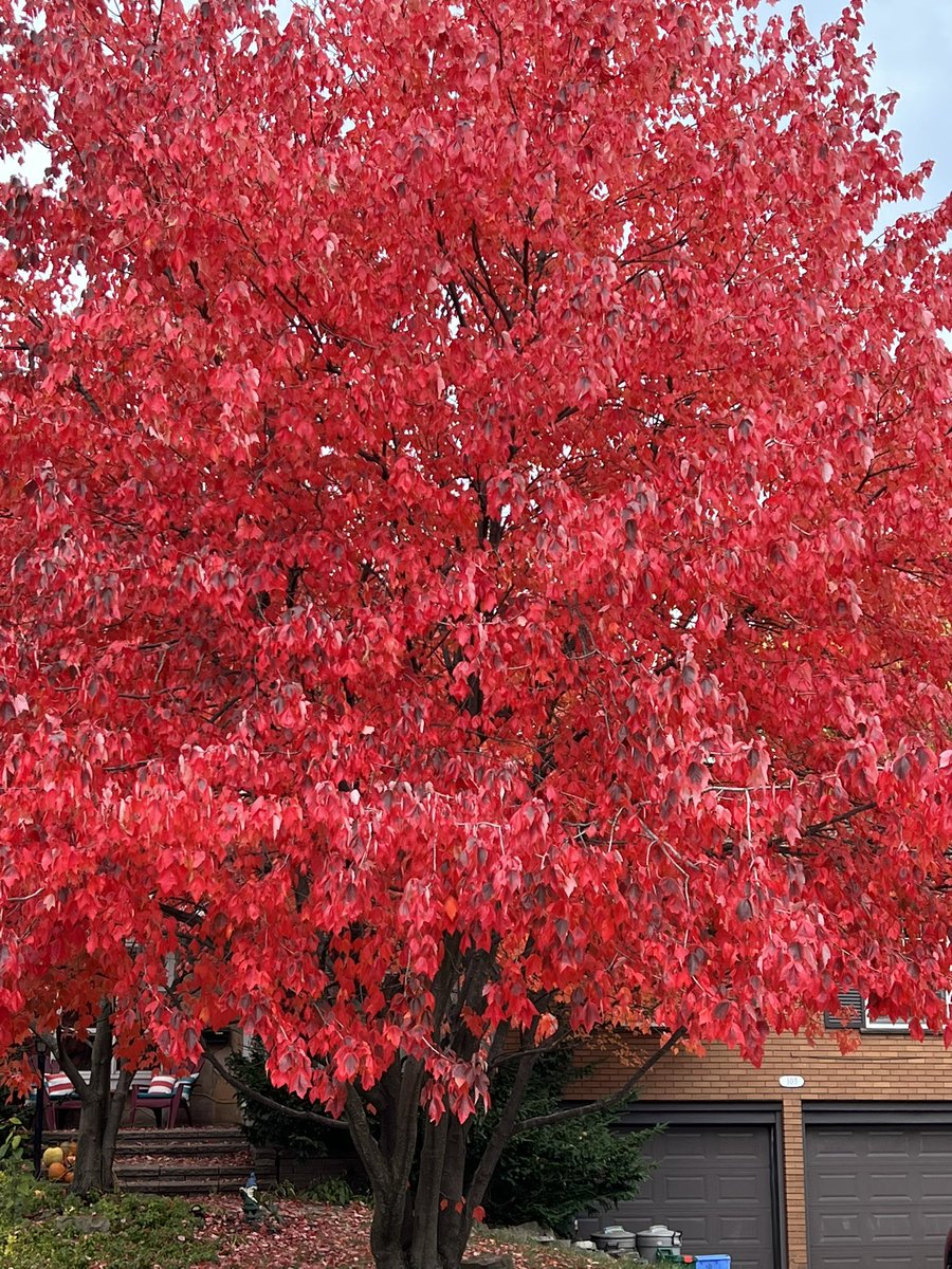 Emily Christoffersen tweet media