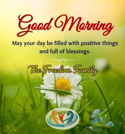 The Freedom tweet media