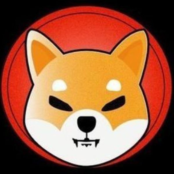 Maidul001's tweet photo. #NewProfilePic https://t.co/tpeK8q73Jt