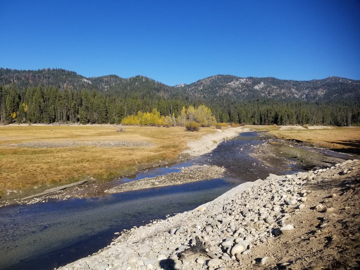 _AlfredoGonz's tweet photo. Lovely tour around the Deadwood Reservoir in the Boise National Forest today. The rivers in Idaho give me life https://t.co/qH0UPe8JCN