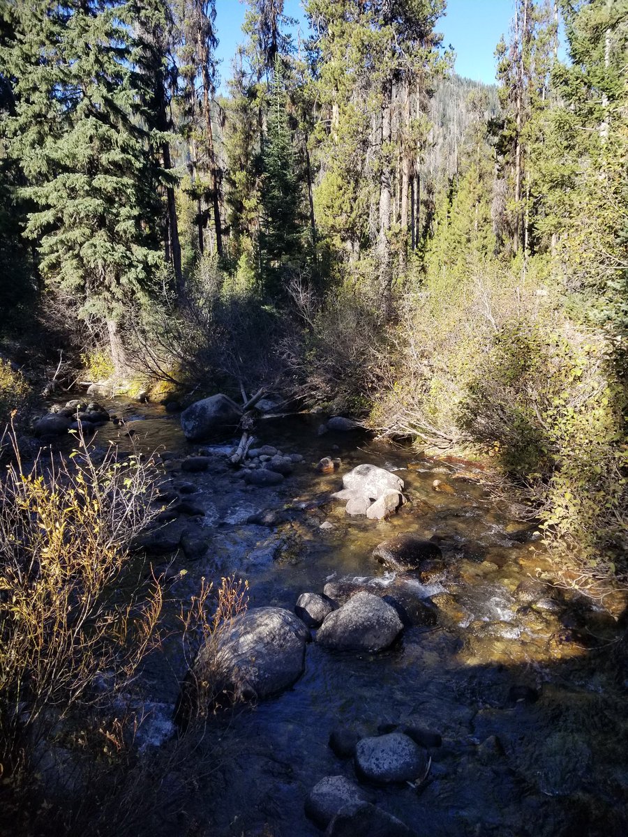 Lovely tour around the Deadwood Reservoir in the Boise National Forest today. The rivers in Idaho give me life