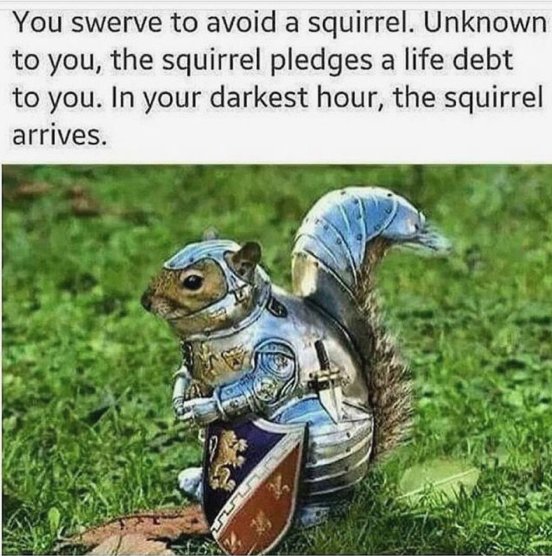 SquirrelsofUSD's tweet photo. @KyleMiller89 Thank you for your consideration to my fellow comrade. https://t.co/CbC4xkZqzq