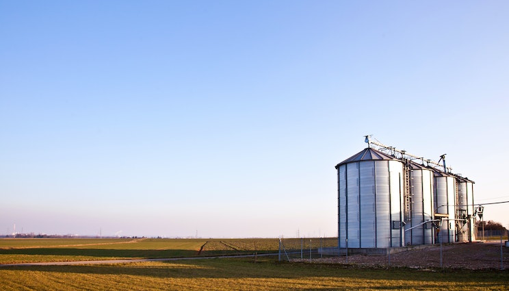Coming soon to Aus: grain management for farms who run on Agworld! Introducing Cart by <a href="/farmreadyio/">Farm Ready</a>, a grain management solution that helps growers know their position with:
🌾Grain storage
✍️Contract management
🚛 Movement
Register for early access: farmready.io/products/cart