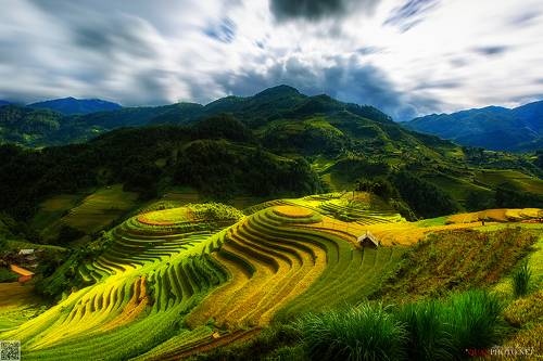 Golden Rice Terraces https://t.co/amCATeMYz7 #photography #photography ...