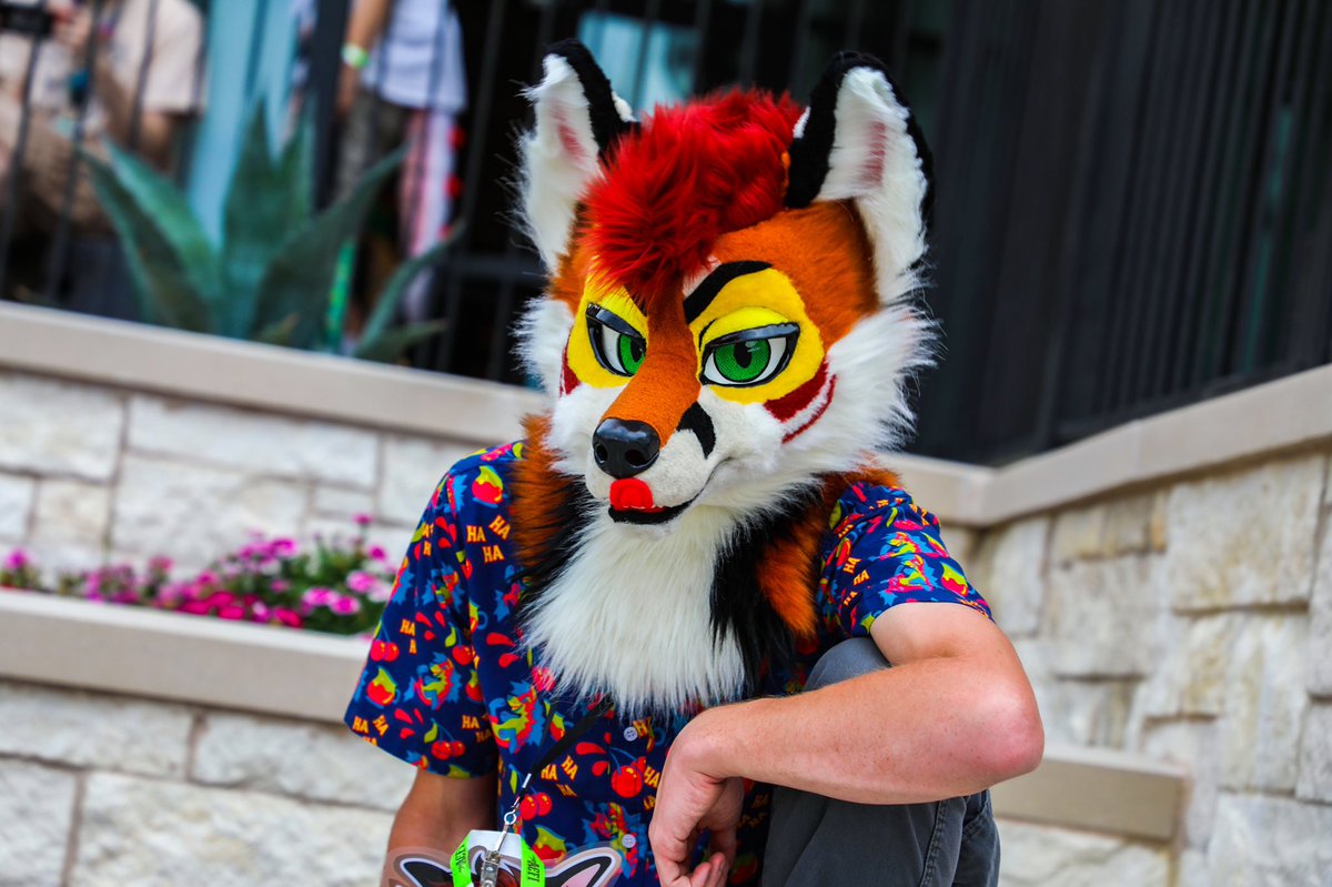 I can touch my tongue to my booper! How’s about U? 

#ACFI #ACFI2022 #Foxtober #furry