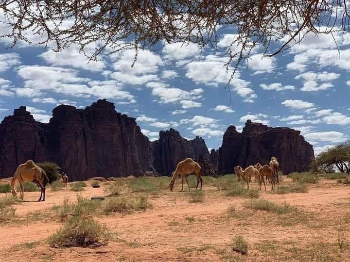 saudiexpat's tweet photo. #Tabuk..  😳
#SaudiArabia 😍 https://t.co/3Hihvw3ZIP