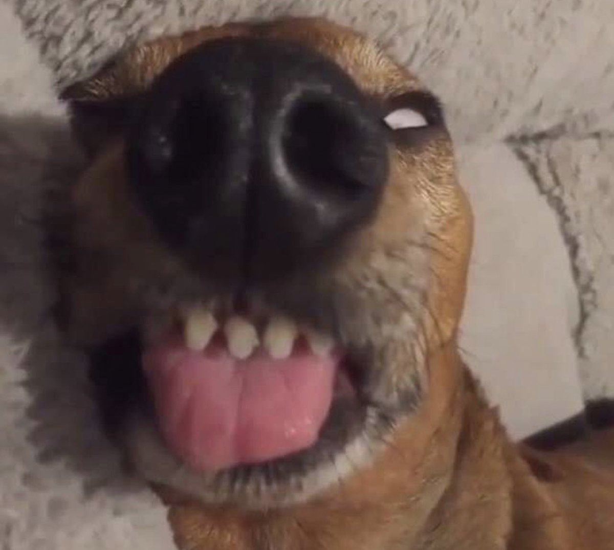 97Vercetti's tweet image. I wake up before my girl &amp;amp; see her sleeping like this