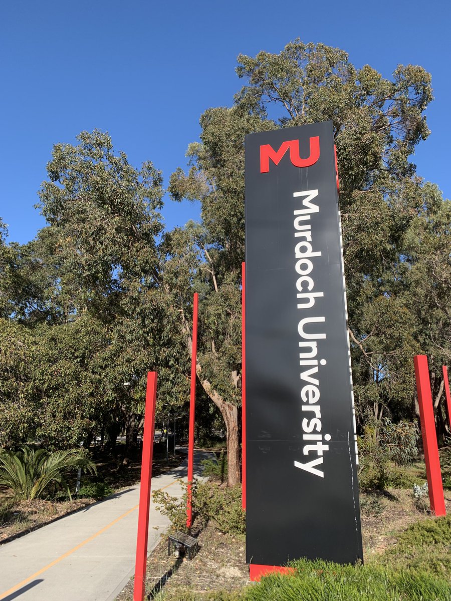 andypriestner's tweet image. Already inspired by the staff and facilities at @MurdochUni @murdochlibrary. We begin researching with students this afternoon #uxtour #Perth