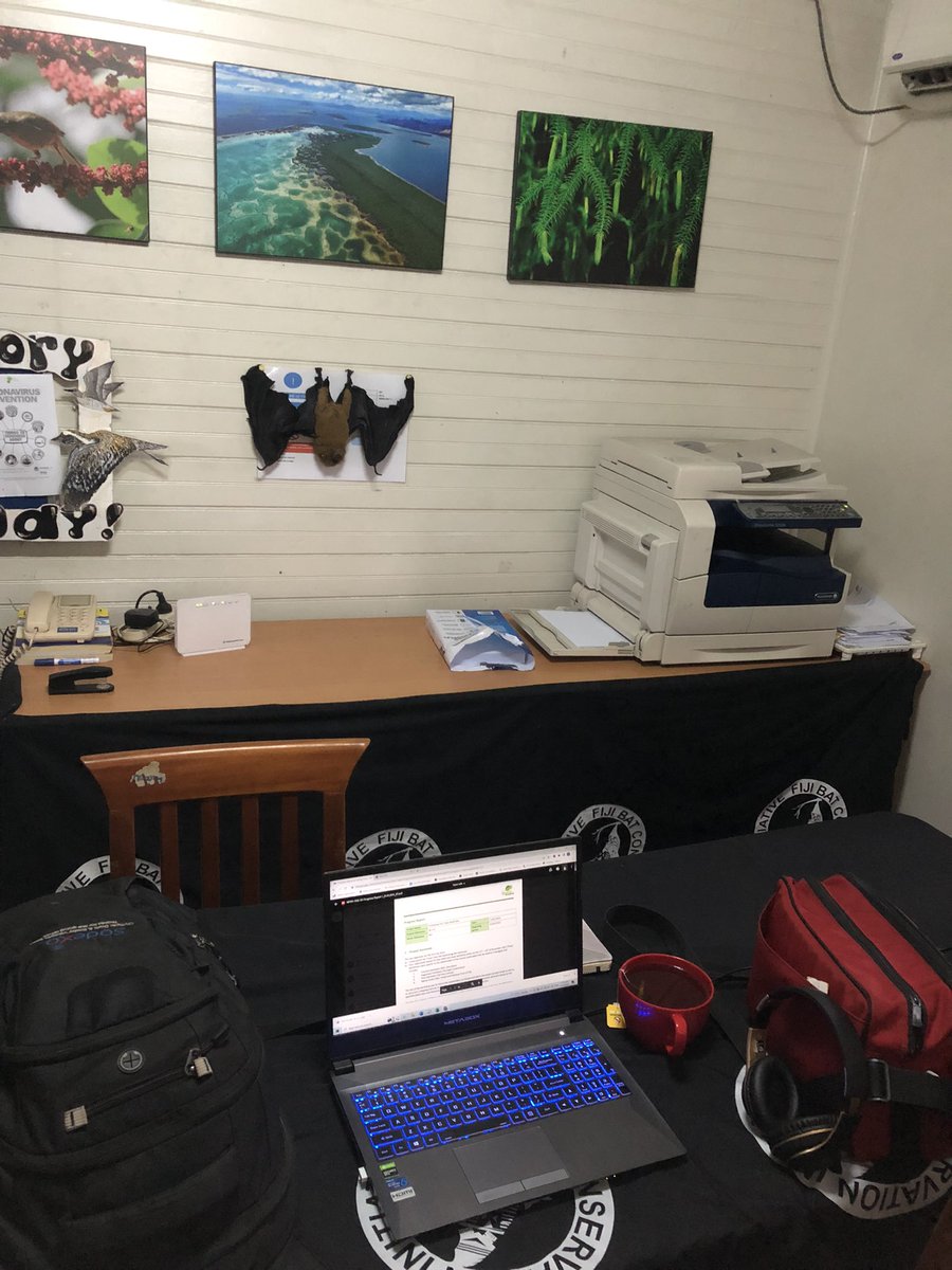 Back at it at the NatureFiji office in Suva.