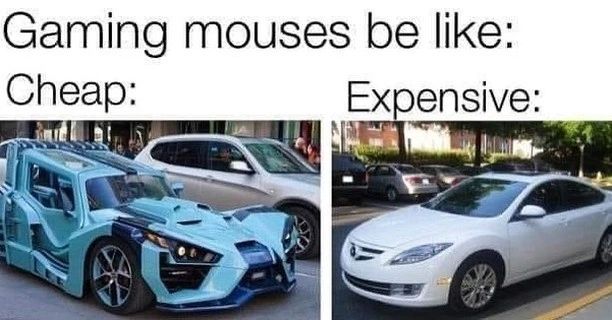 Digits3Gaming's tweet photo. Which one do you have 🤔
#gamingmouses #gamingnews https://t.co/82QQz7AcSF