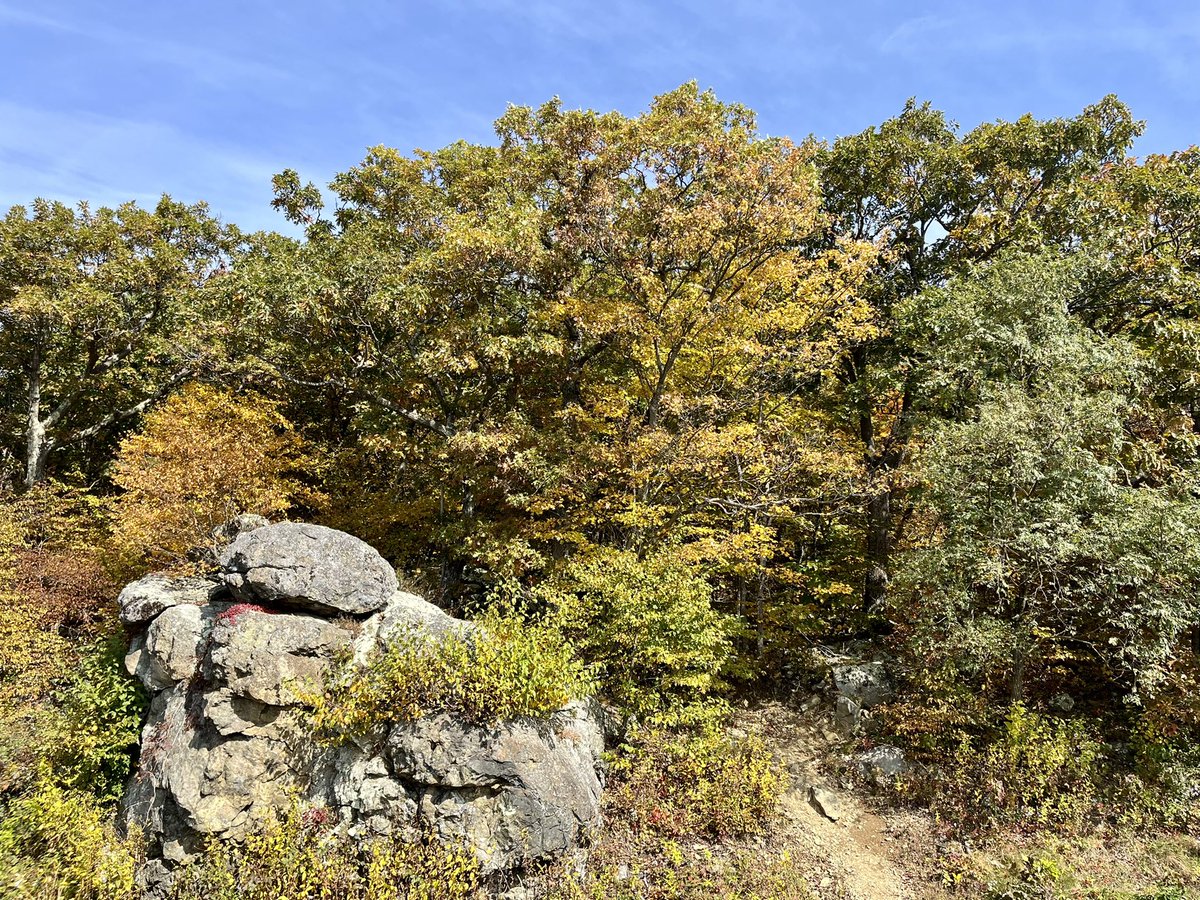 eshansen_2's tweet image. Shenandoah NP beginning to show some nice colors @FoliageReport