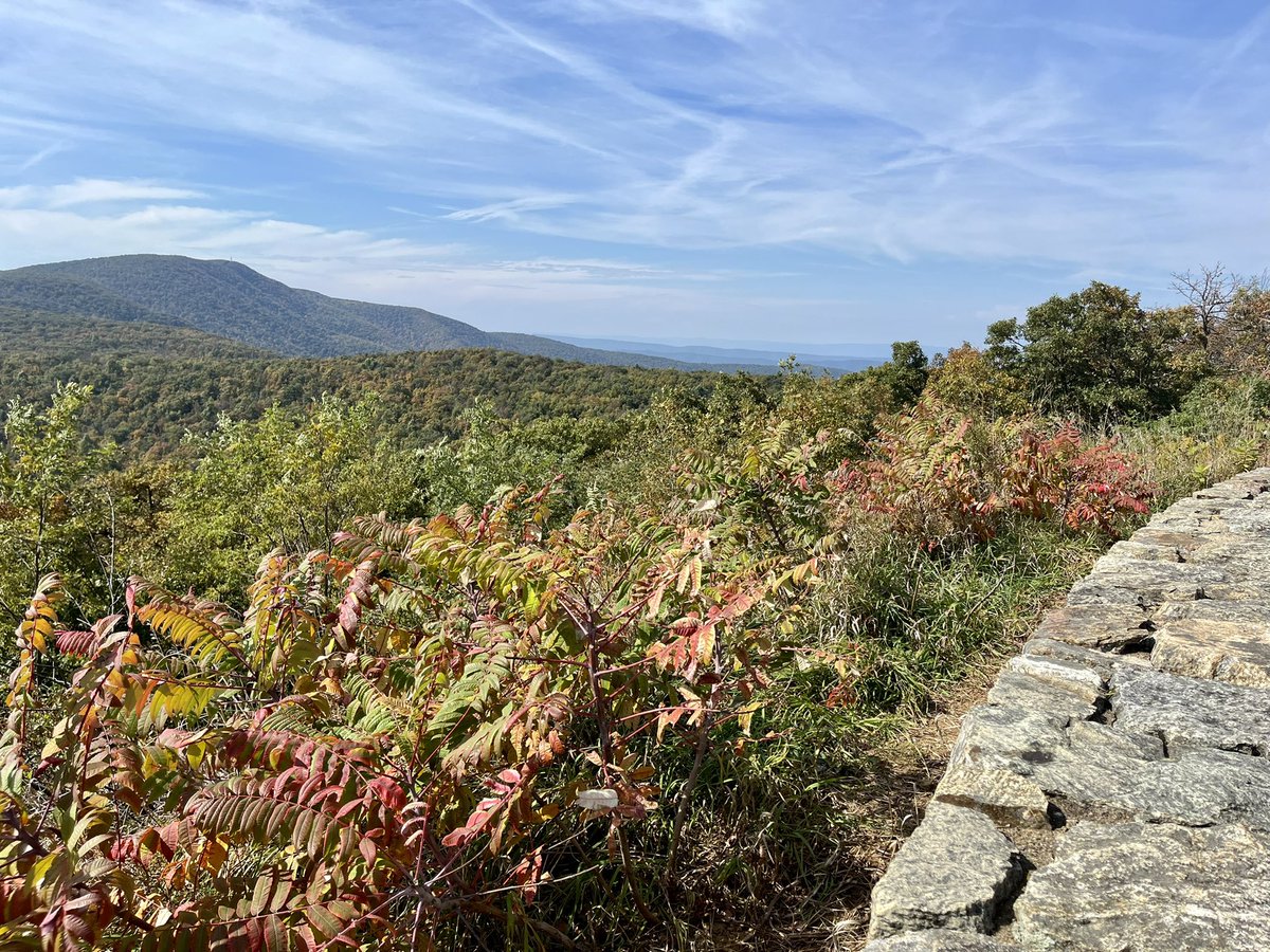 eshansen_2's tweet image. Shenandoah NP beginning to show some nice colors @FoliageReport