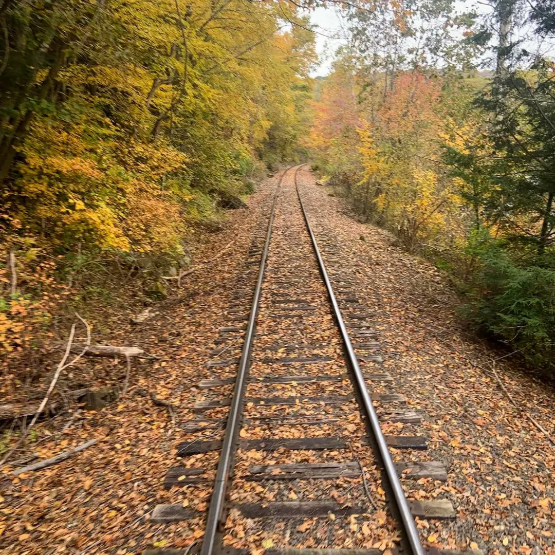 OCandT's tweet image. Love fall track pics! Taken by our GM, Cheri, on recent trips "through the valley that changed the world." 
#octrr #oilcreektitusvillerailroad #railroadtracks #fallfoliage #theresastoryhere
