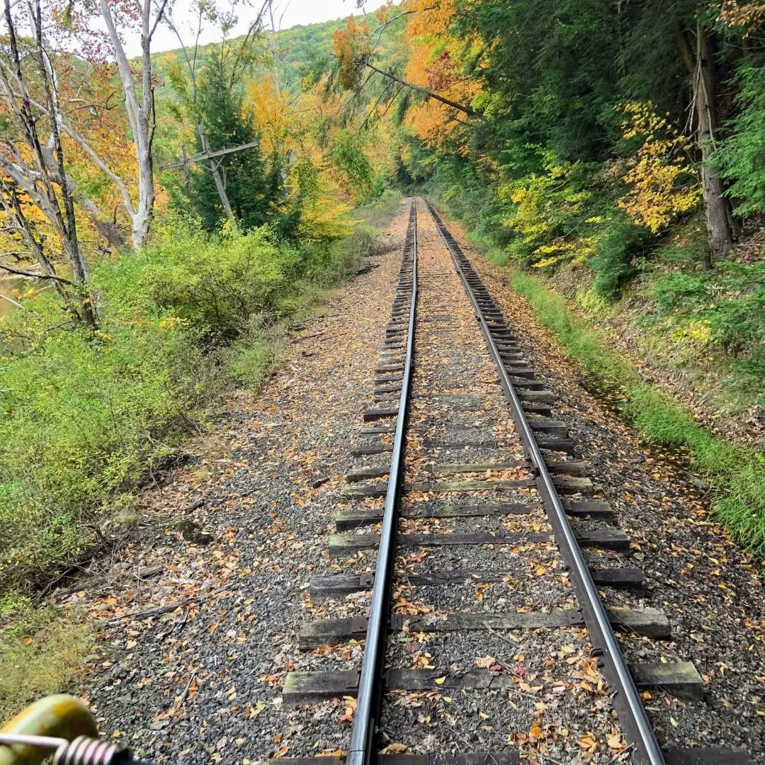 OCandT's tweet image. Love fall track pics! Taken by our GM, Cheri, on recent trips "through the valley that changed the world." 
#octrr #oilcreektitusvillerailroad #railroadtracks #fallfoliage #theresastoryhere