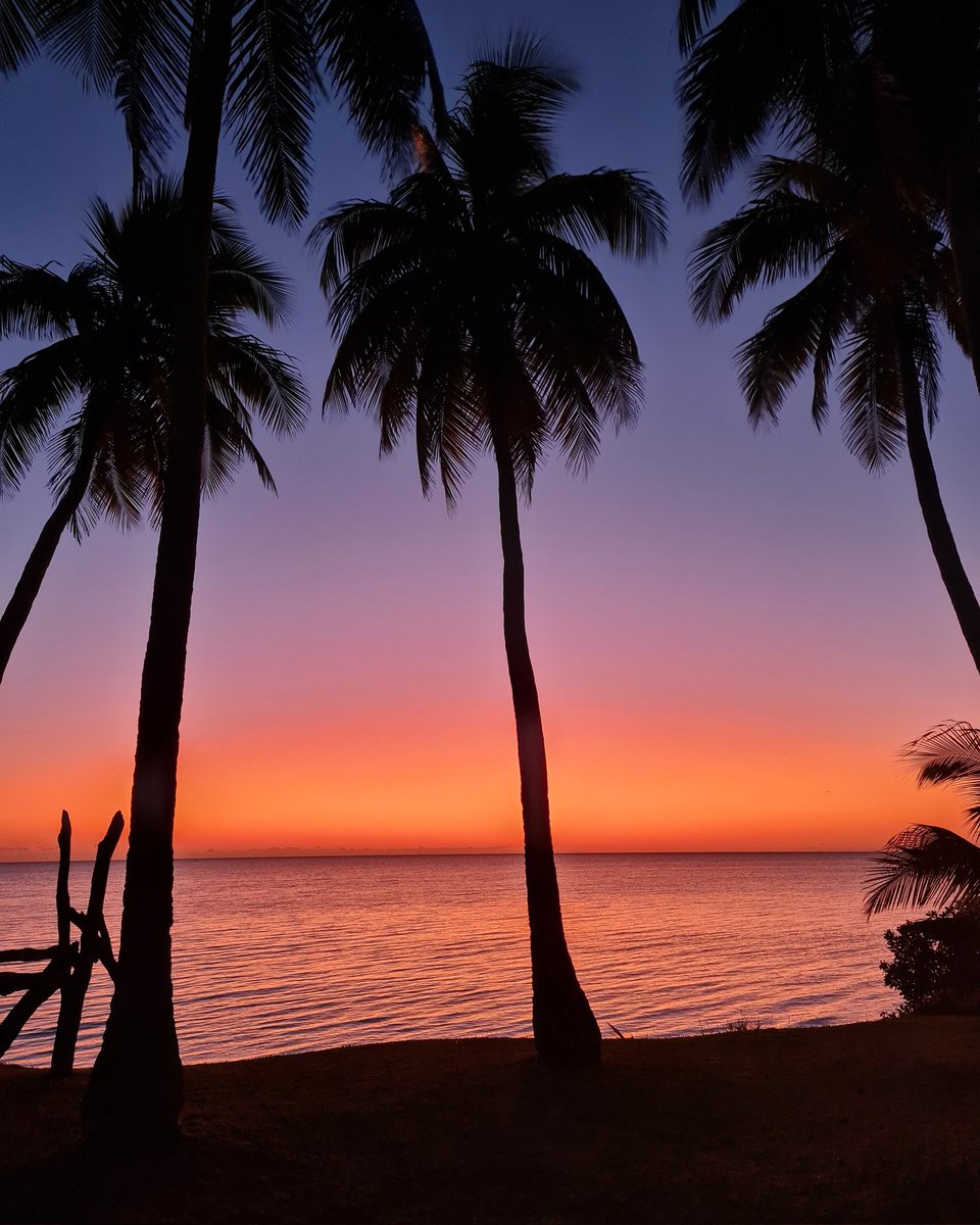 guiinmre's tweet photo. 🌅🌴 IAAI
#iaai #ouvea #newcal #pacific #pacificisland #newcal #Nouvelle-Calédonie #kanaky 🇳🇨 https://t.co/Ak5YlR7aHp