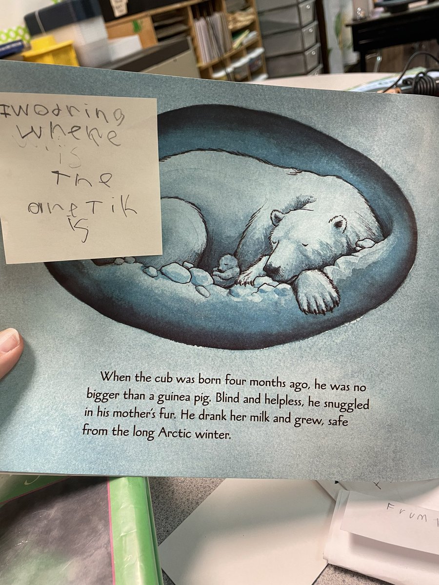 Kathleen Mullins tweet media