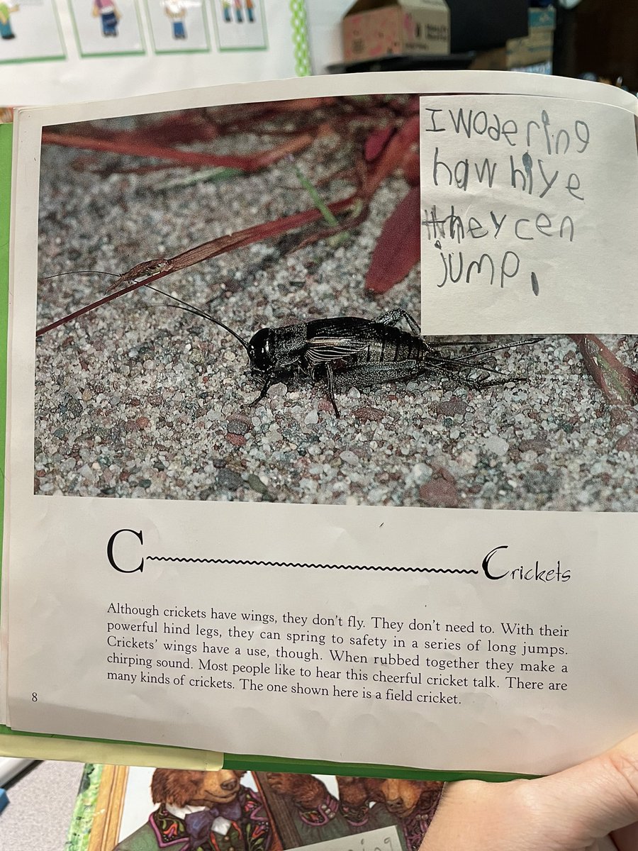 Kathleen Mullins tweet media