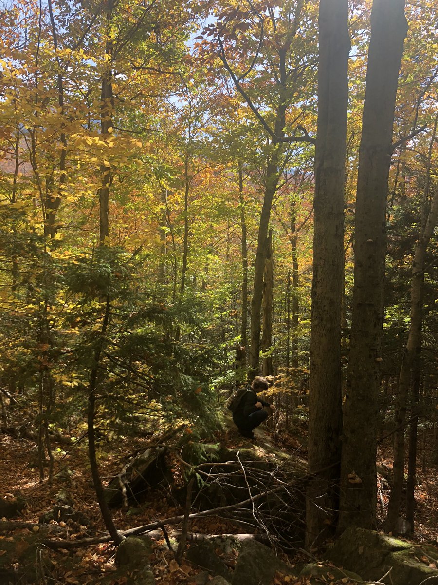 erinnh_123's tweet photo. What a gorgeous day in the mountains. #nh https://t.co/qcU13ZVgWC