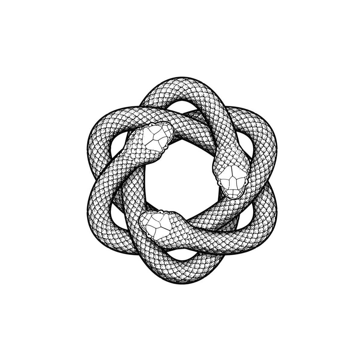 himgajria's tweet photo. Introducing Ouroboros: an invite-only club of alpha dealers.

https://t.co/bZaZqV2R02 → we’re private and open only to capitalists with a capacity to play positive-sum games. https://t.co/Y4IOuXIbDG