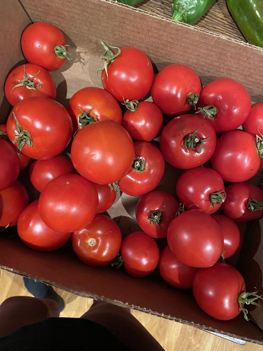 anna escher tweet media