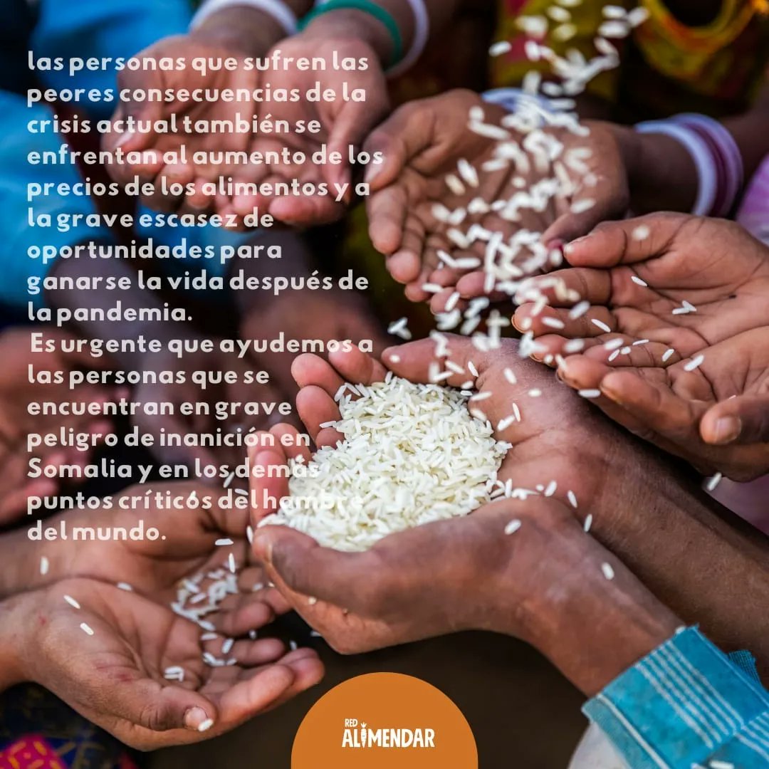 AlimendarMza's tweet photo. #HAMBRE #SITUACIÓNMUNDIAL

🥕En el informe titulado “Hunger Hotspots – FAO-WFP early warnings on acute food insecurity” (Puntos críticos del hambre: alertas tempranas de la FAO y el PMA sobre la inseguridad alimentaria aguda) https://t.co/iuUEGRV9GH