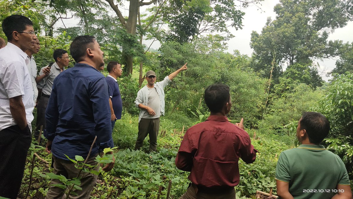 farmer_samir's tweet photo. Took time to unlearn the monocropping from my books of agriculture.Being farmer for last 15 years has learnt the value of diversity. Now with my food forest making people learn about canopy,tree,subtree,shrubs,herbs with grasses layers and their role balancing food production. https://t.co/WQZncHDOrw