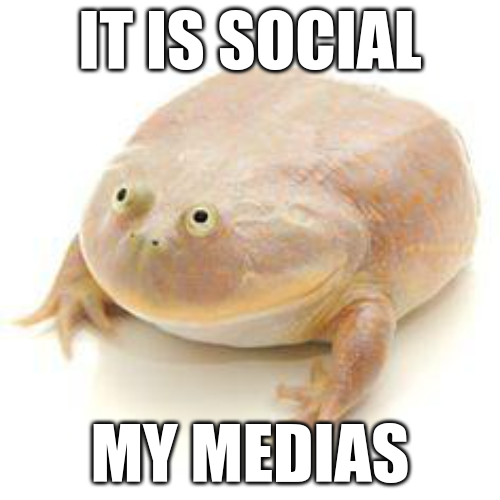 IfWereBeingTBH's tweet image. To quote Monsoon from Metal Gear Rising: &quot;There&apos;s a nice meme. Exquisite.&quot;

@JaredCo_SCC here&apos;s a dumb meme I made for #CIS103 @ScottsdaleCC made in part because I love this frog and it is #wednesday my dudes.