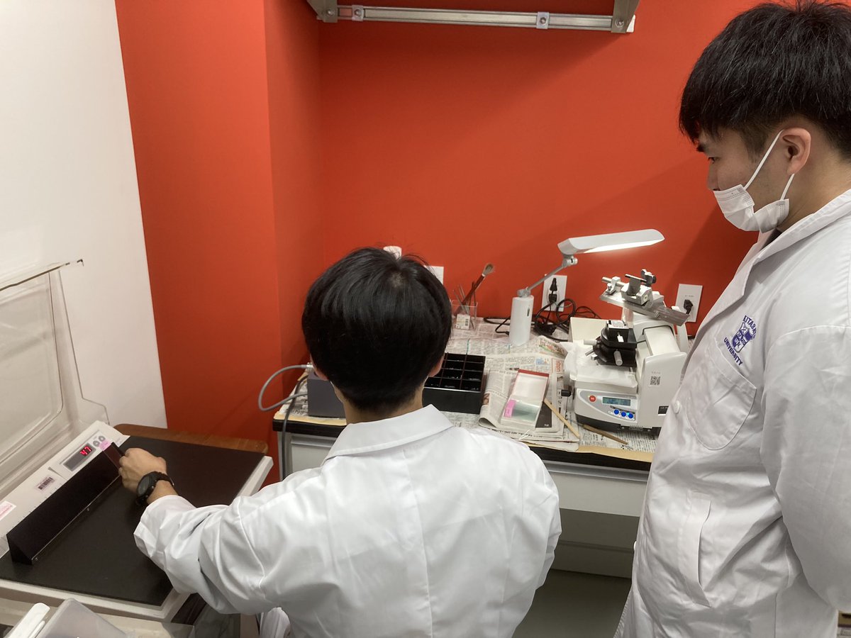 kazuki_hotta's tweet photo. 堀田研究室の活動は #hottalab で呟きます。今、大学院生と学部生が病態モデル動物の筋組織を薄く切って切片を作っています、今後染色して観察するそうです。さて、上手く行くでしょうか。 https://t.co/U2ZEkc7WhJ
