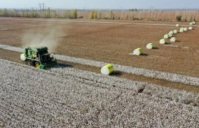 CE_ChinaEconomy's tweet photo. #China's #Xinjiang Uygur Autonomous Region has entered its large-scale cotton harvest period this year, with machines expected to do over 80% of the picking work, local authorities said. Currently, over 7,000 machine #cotton pickers have been put into use during harvest season. https://t.co/YQDdCo8ejd