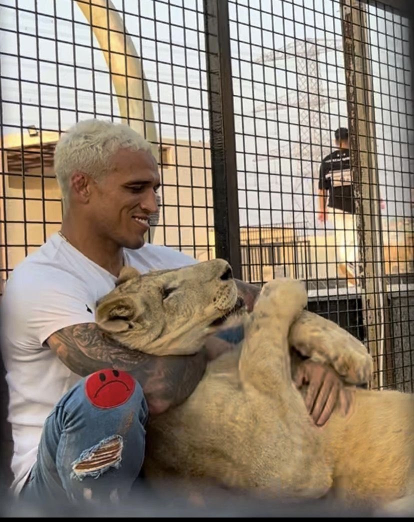 MMAFANATIC__'s tweet photo. Yeah Islams Fucked https://t.co/2OKZih0Byy