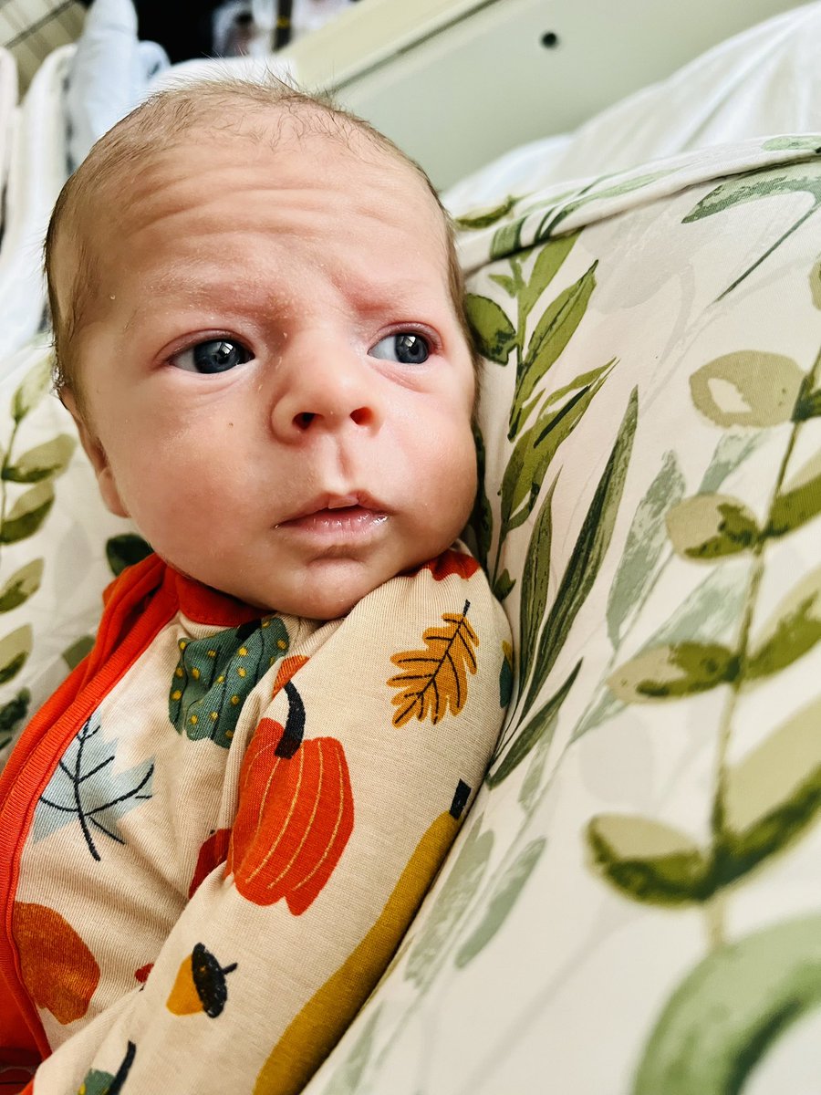 Day 26: Nash is 6 weeks old today. Right now, things are looking good for him to be released from the hospital on Friday, which makes sense, because I’m sure he wants to be home in time to watch the Vols beat Alabama on Saturday 😉