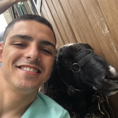 August0brun0's tweet photo. #NovaFotoDePerfil https://t.co/JjXFdIjYyh