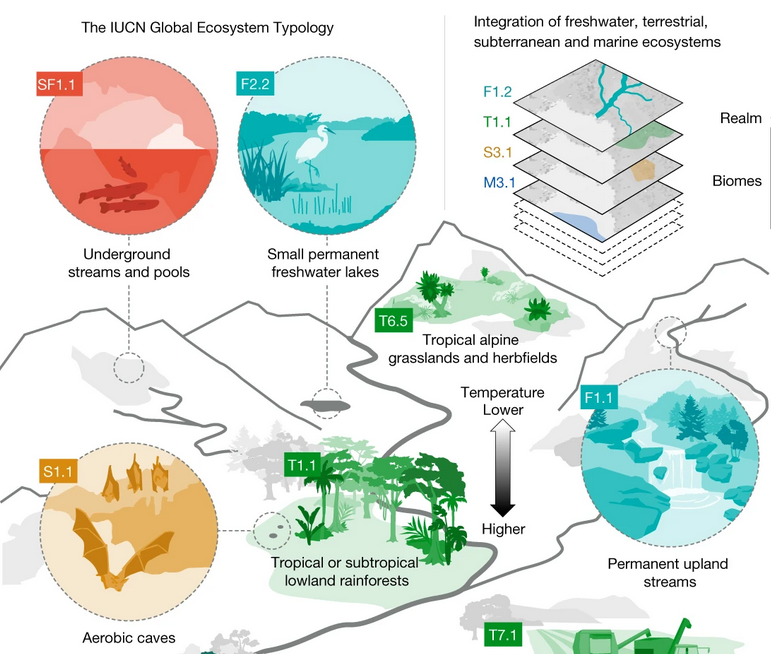 UNSW Biological, Earth and Environmental Sciences tweet media