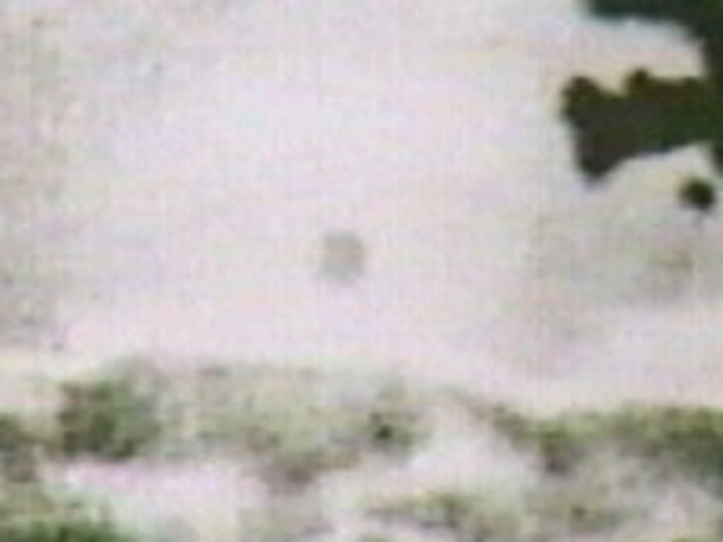 MediaoutletCom's tweet photo. #OTD #TDIH #October13, 1917: 70K in #Fatima, #Portugal see #MiracleOfTheSun AKA #MiracleOfFatima &amp; #FatimaObject. 
#FatimaPortugal #UFOs #UAP #UAPs #Catholicism #MarianApparations #OurLadyOfFatima #UFOs #UAP #UAPs
https://t.co/pLyYjnqTfa https://t.co/PWZFSIQEGU