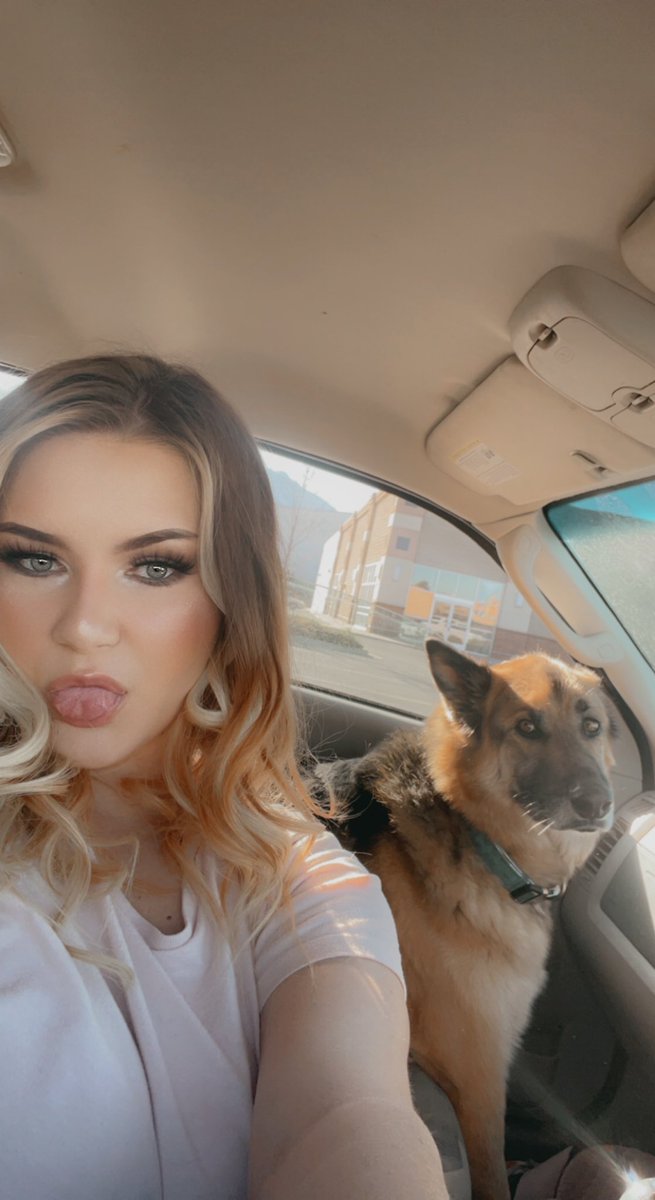 Tasha_danielle6's tweet photo. He is so sick of getting stuck in the car with us for showings. But he’s the cutest passenger princess. 🐶🐶 https://t.co/y8HhwCnqpr
