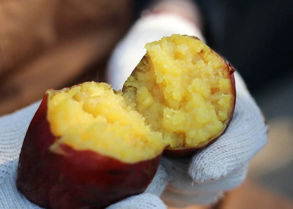 「やきいもフェス TOKYO」開催中！！さつまいも好きは新宿に集まれ！！