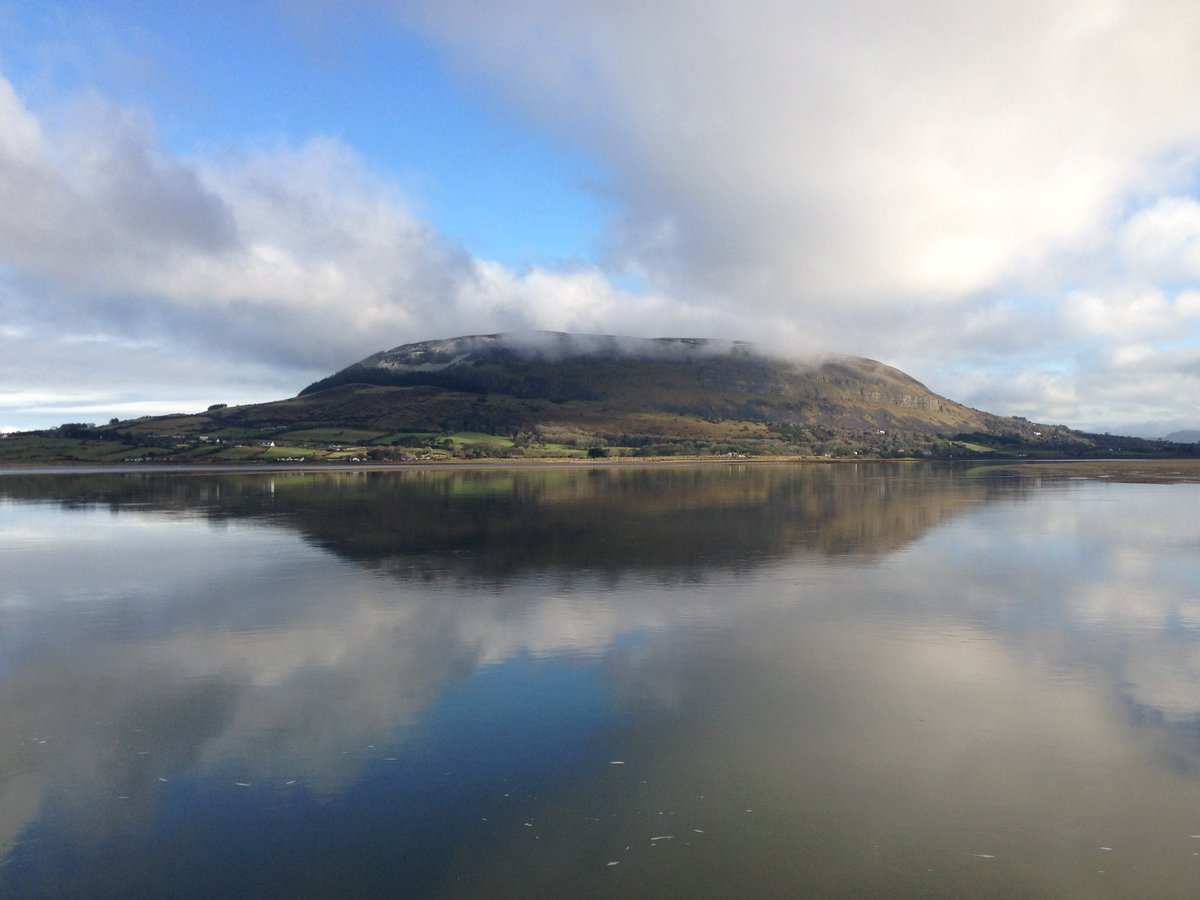 John of Sligo tweet media