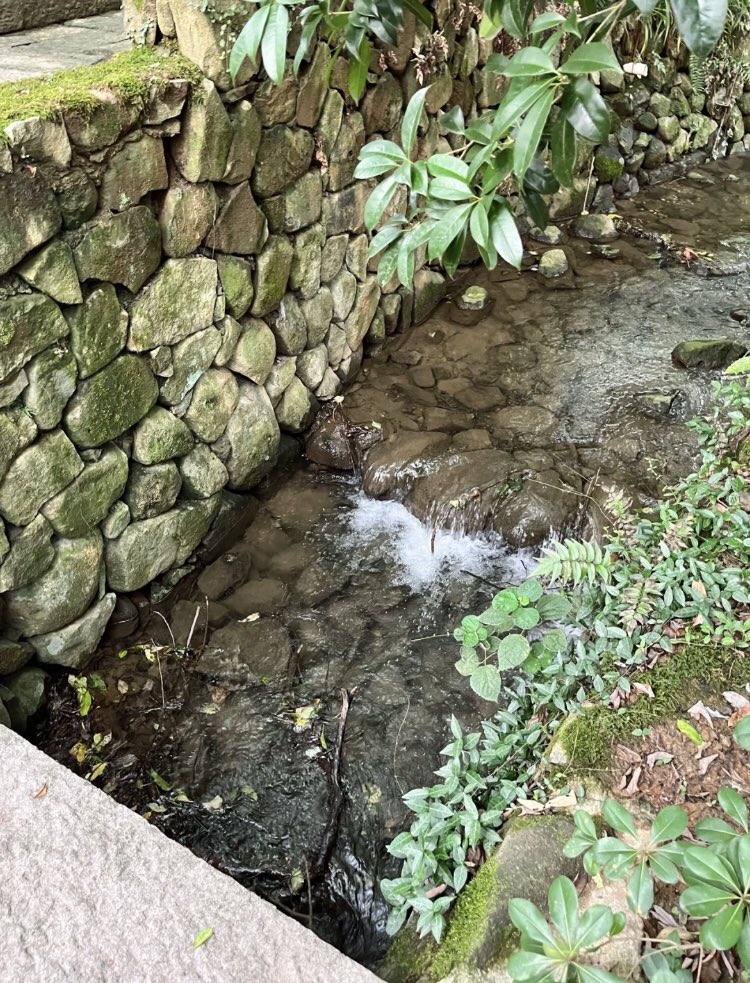 daws93815598's tweet photo. 紫萱度假村太美了，溪水潺潺，有一瞬间在京都。 https://t.co/KZAerr3YUO