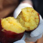 芋好き必見!11月開催のやきいもフェスを見逃さないで♪