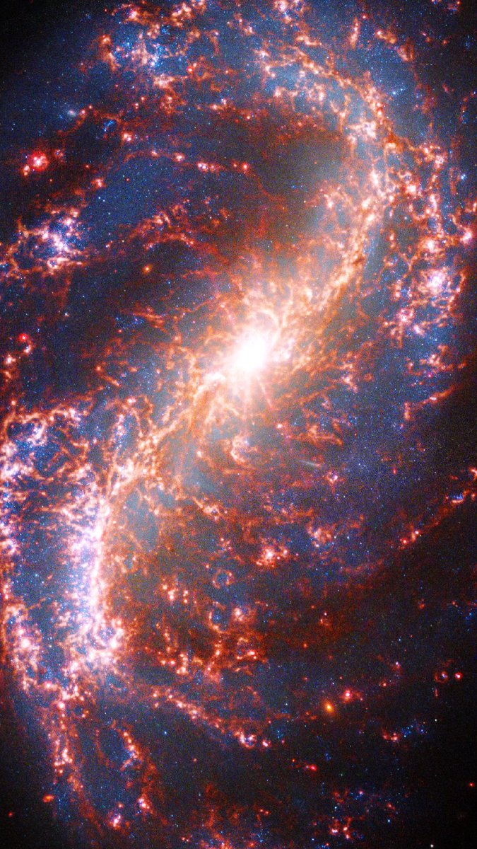 James Webb Space Telescope’s recent capture of galaxy NGC 7496, more than 24 million light-years away 😲