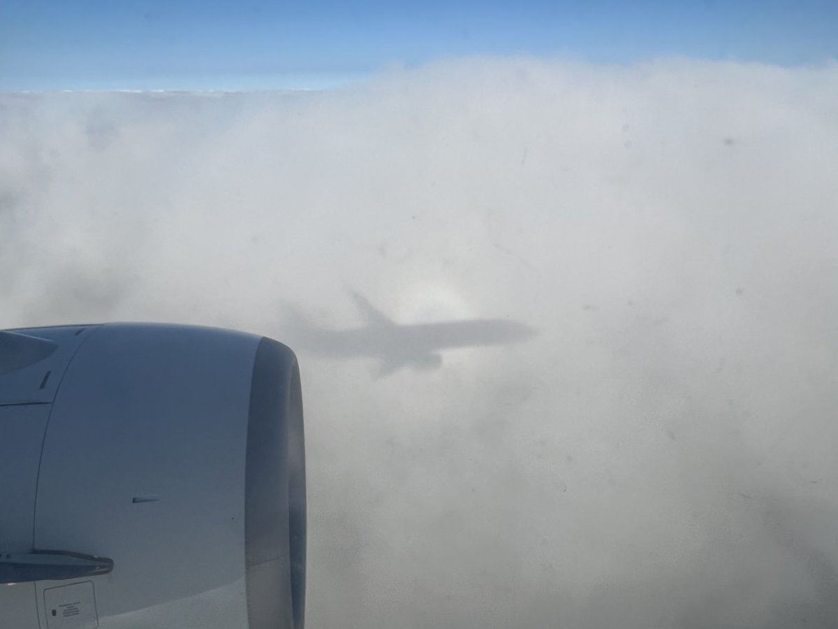 Kzcurls's tweet photo. Nashville to Seattle 
 ⁦@AlaskaAir⁩ https://t.co/iuJ4Lh8buW