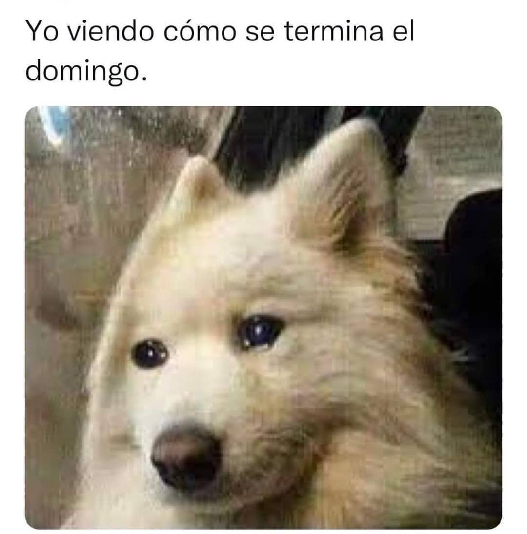GAMERGY's tweet photo. ¡Buenos días chavales! ¿No os sentís un poco así los domingos? 🥴 https://t.co/RkXXTklltC