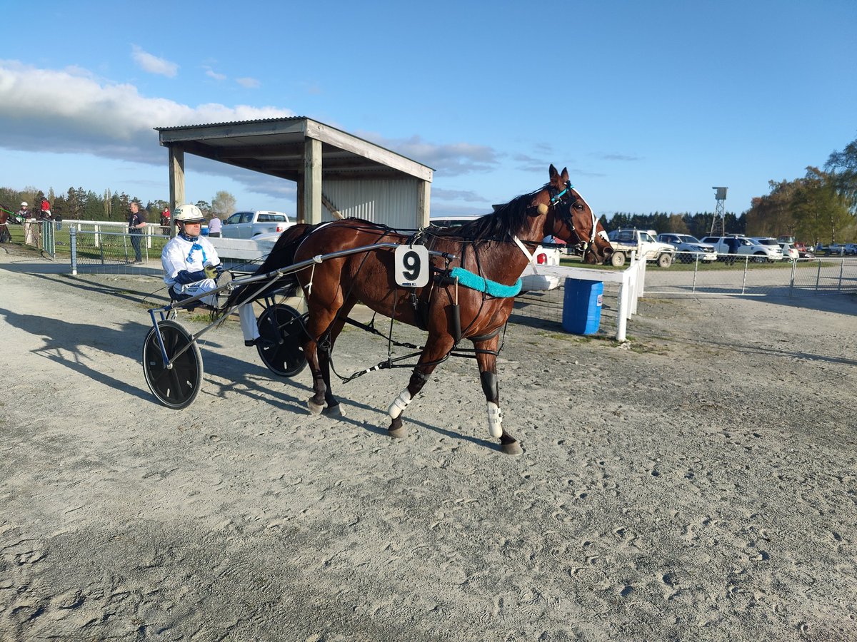 OffnRacing's tweet photo. 🥉 ARNIES ARMY aka Mr Consistent picks up another 3rd placing at Wyndham today!

Driven by regular pilot Mark Hurrell and trained by the Birthday Girl Chelsea Faithful 🎉 https://t.co/srx1rWgn3M