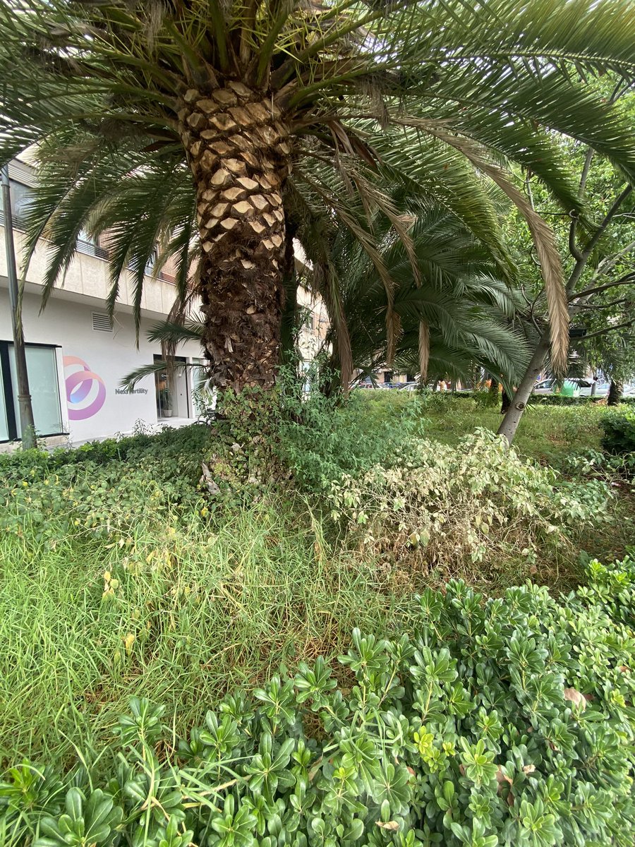 #ValenciaEscucha tweet media