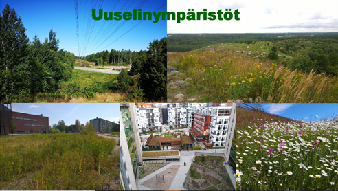 ”Uuselinympäristöt ovat tulevien sukupolvien perinneympäristöjä” 

#uuselinympäristöt #viherkatot #kaupunkiniityt #voimajohtoaukeat #moottoritierinteet #Pölyttäjät #Luontokunnat