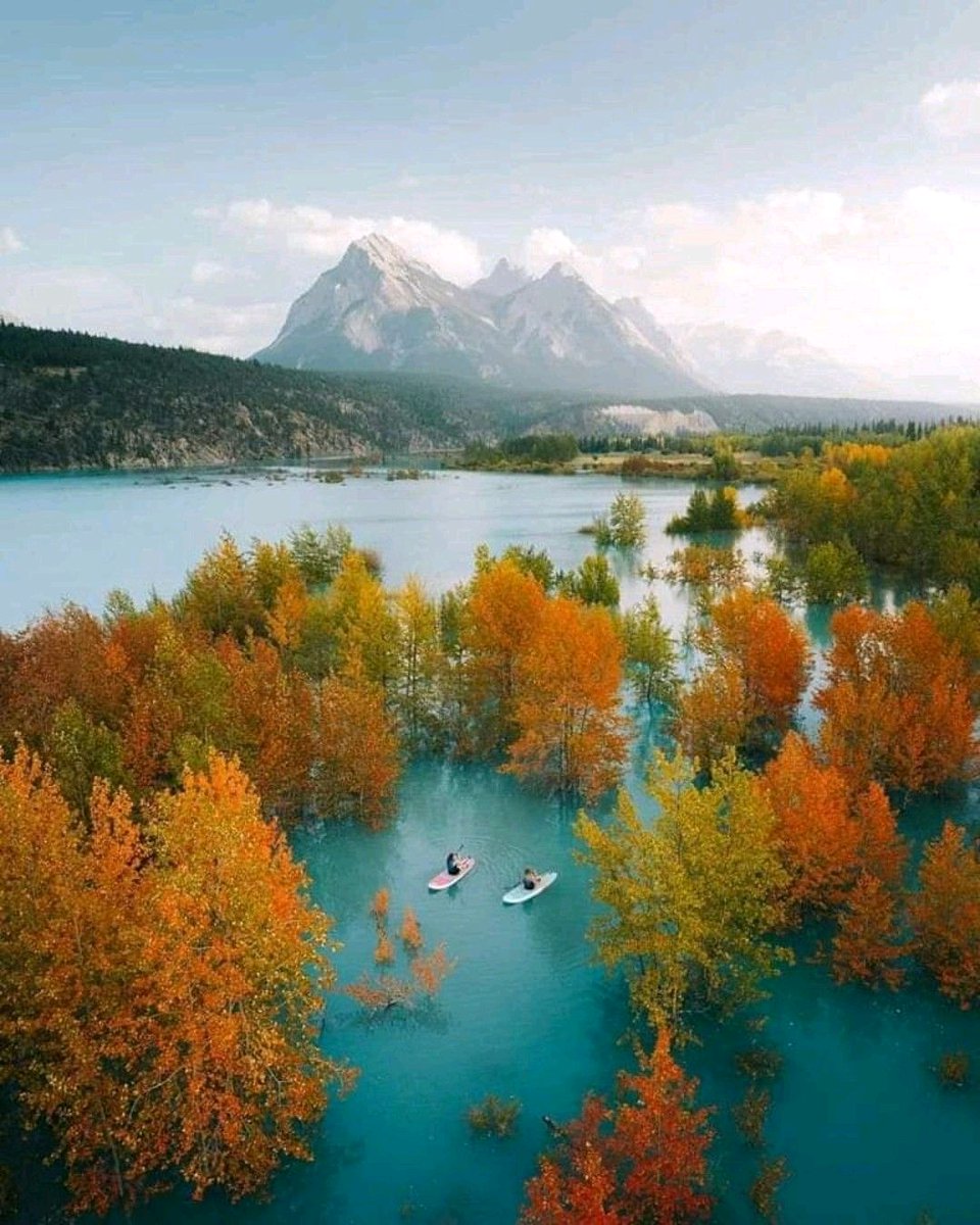 _magical_nature's tweet photo. Alberta, Canada https://t.co/FI0Hchxohe