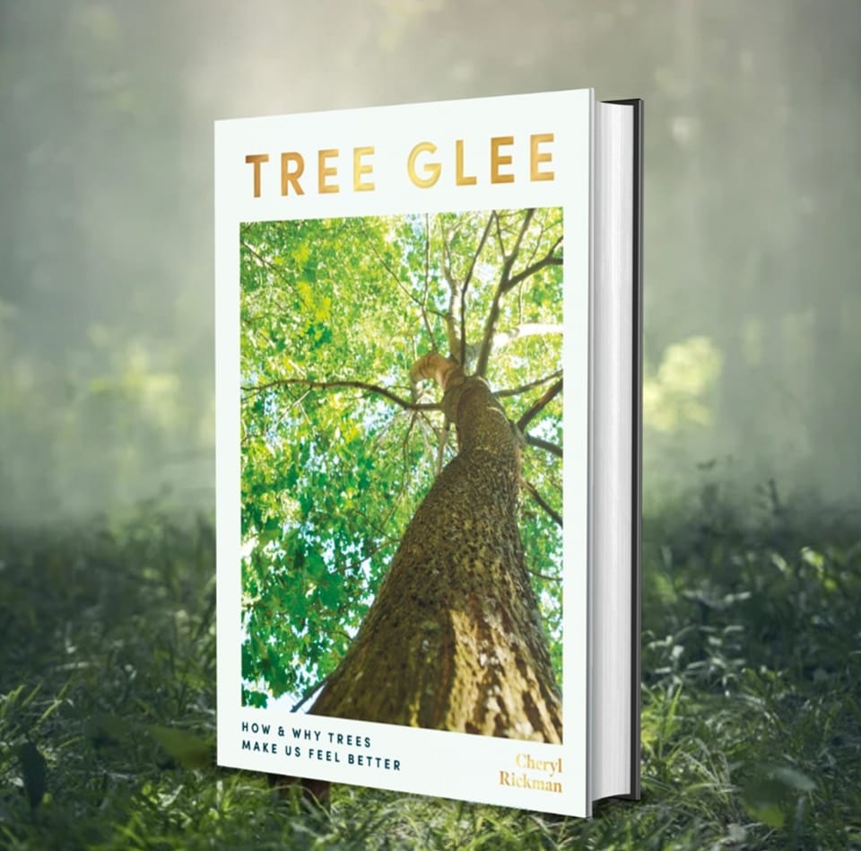 Treeglee's tweet image. TODAY&apos;S THE DAY! It&apos;s #PUBLICATIONDAY! *TREE GLEE: How and why trees make us feel better* is out now! Part ode and love letter to trees, part practical #wellbeing #natureconnection manual and part call-to-action @welbeckpublish @ForestryEngland #newbook amzn.to/3yFRe1h 🌳