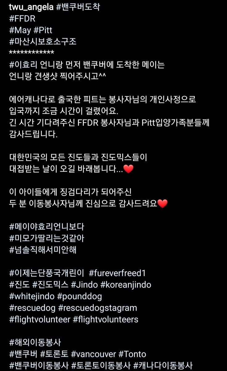 leehyoriarchive tweet picture