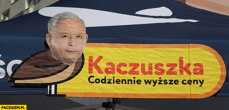 Jarosław Kaczyński chce przejęcia Żabek. Internet odpowiada memami -  NoweMedium.pl