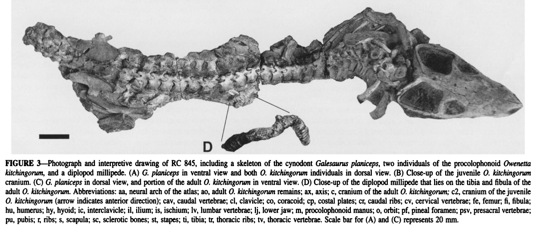 luke norton tweet media